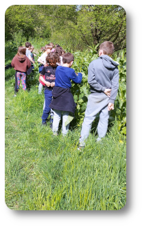 enfants nature